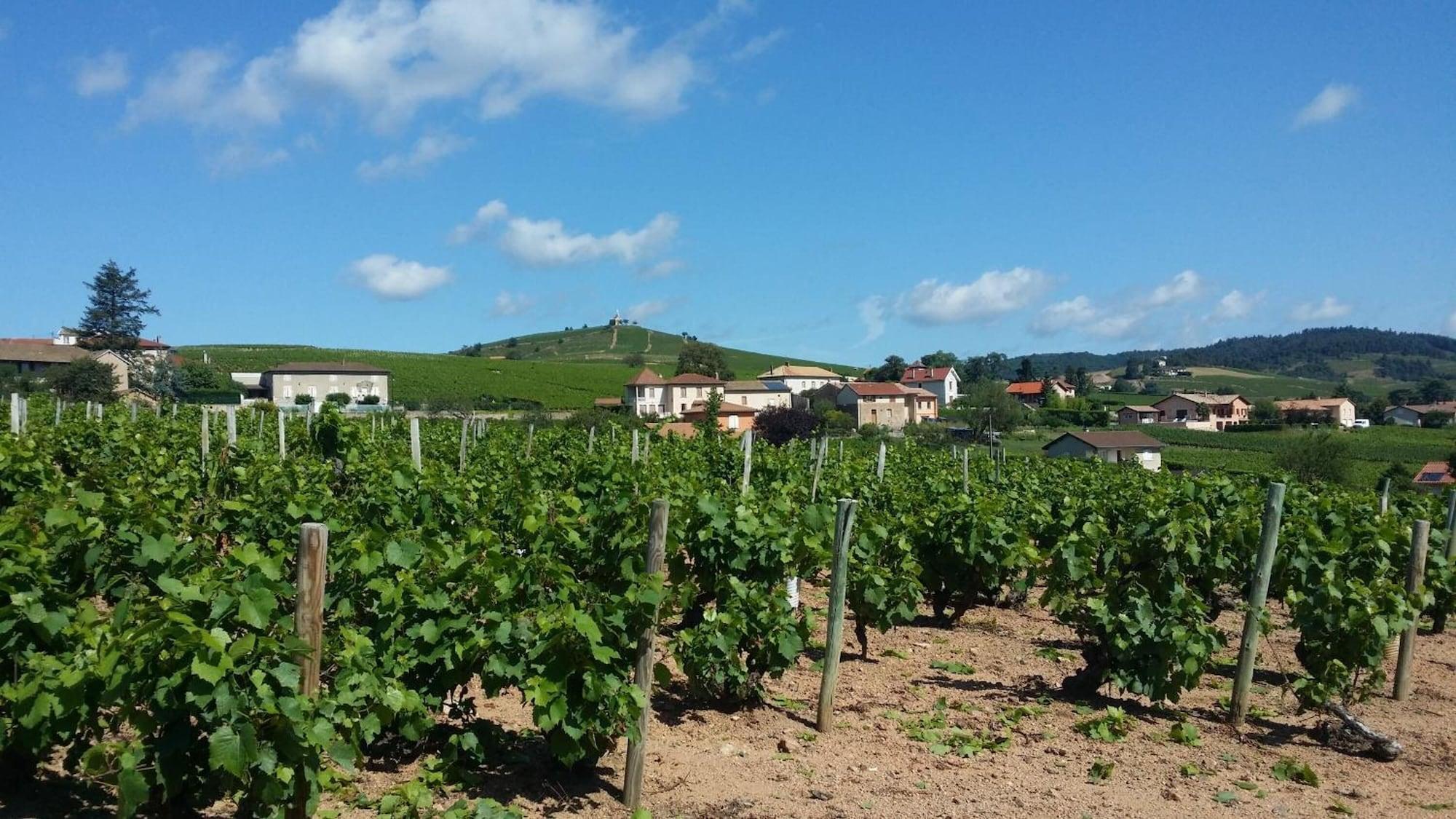 Logis Hotel Des Grands Vins Fleurie Eksteriør bilde